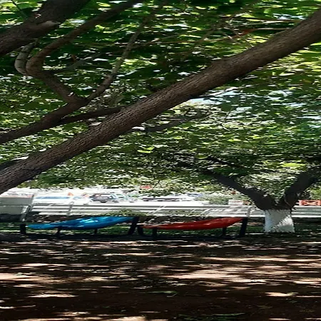 Dut Hotel Selimiye (Aegean)